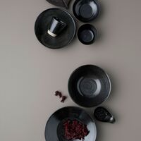 Fenix ruokalautanen