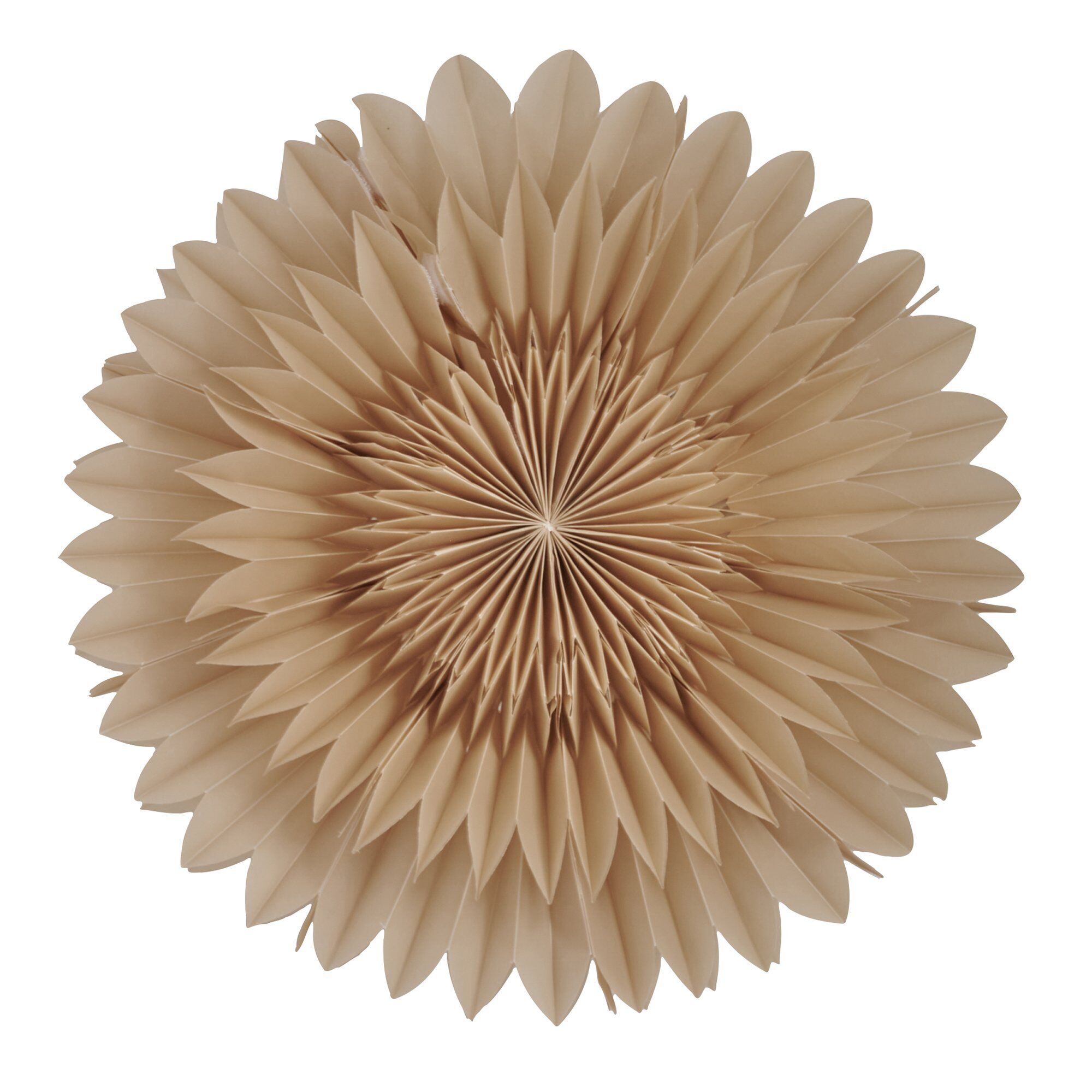 Lotus Julestjerne 44 Cm Beige
