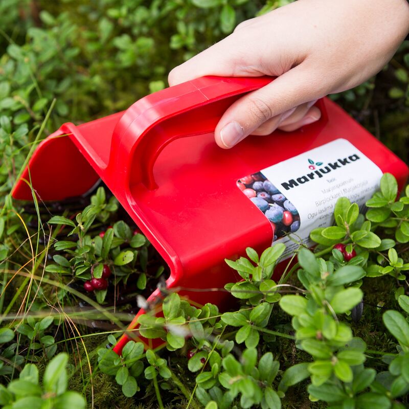 Bärplockare, 17,5 cm bred