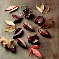 Easy Choc Pralinform Nature