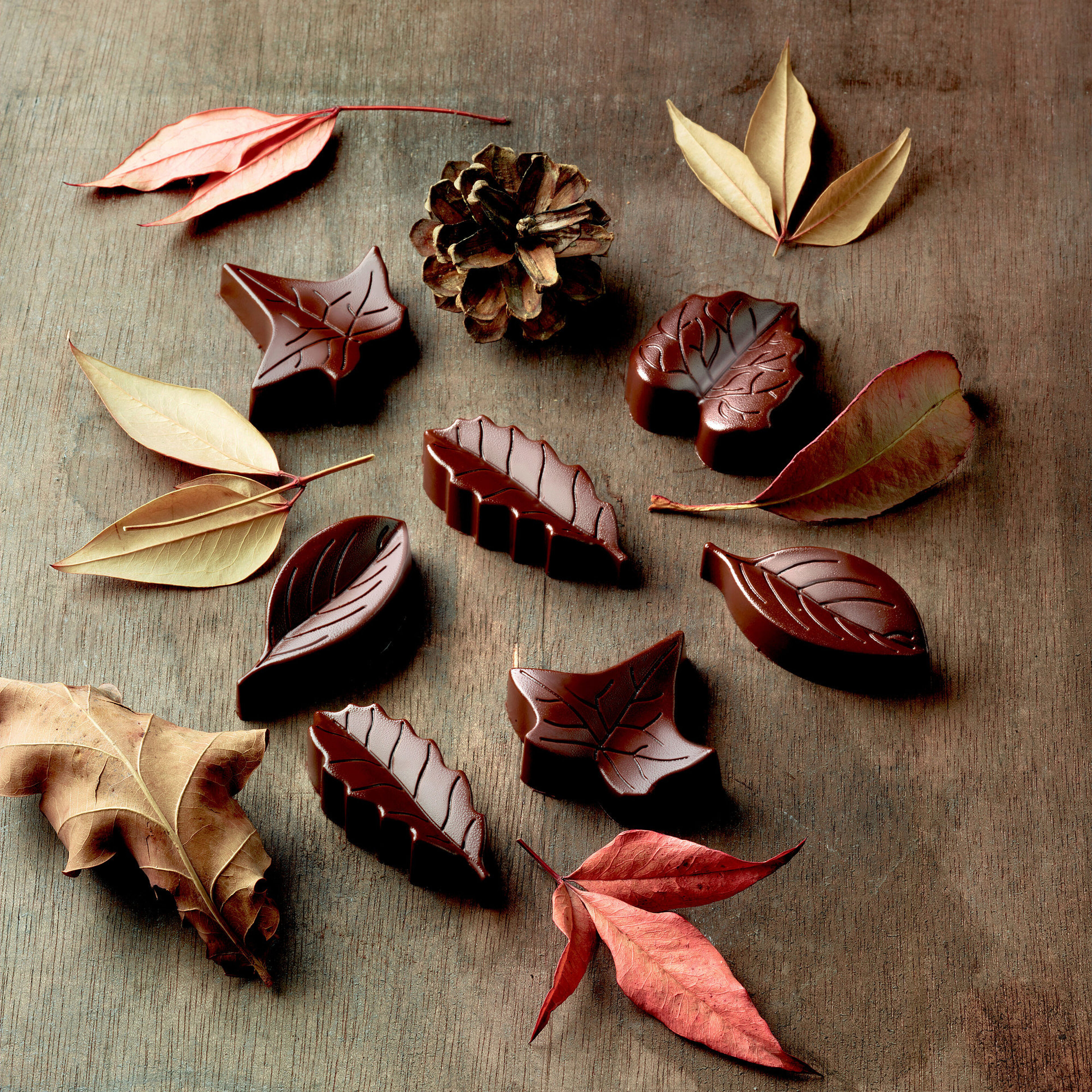 silikomart-easy-choc-pralinform-22-110-77-0065-27995-2