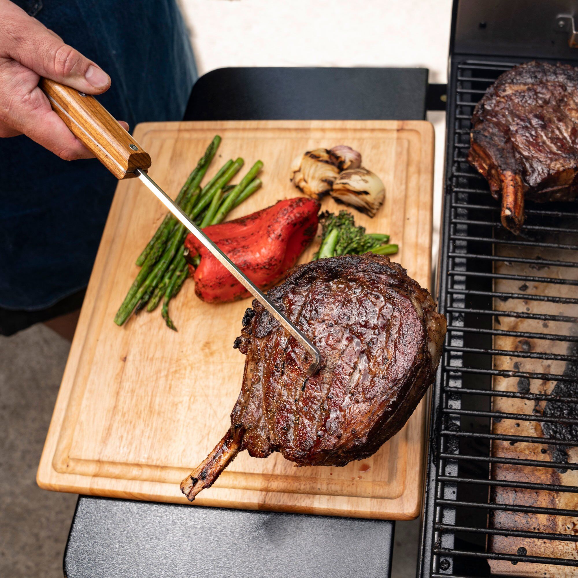 traeger-bac533-66674-8