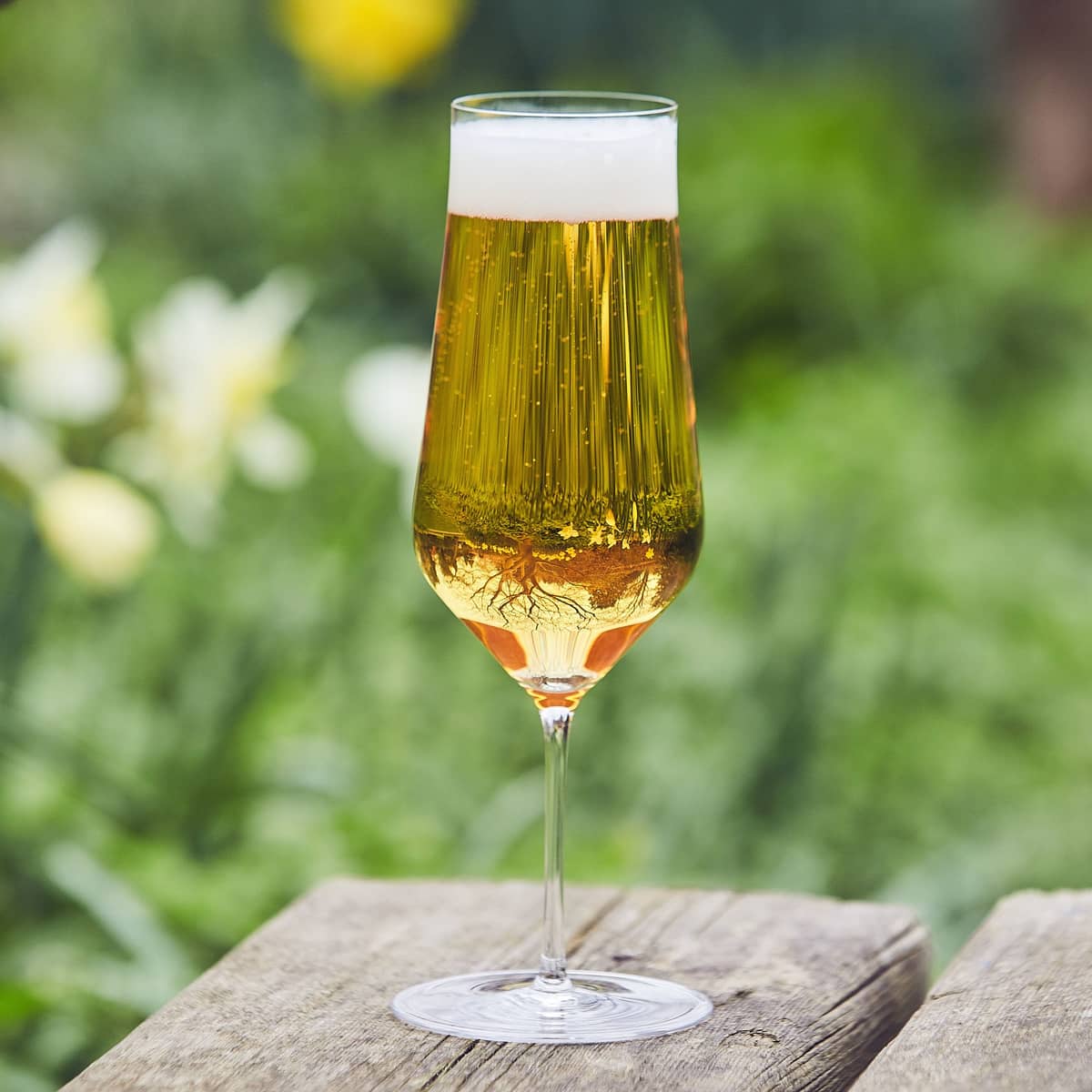 Ølglas 350 ml. 6 stk.
