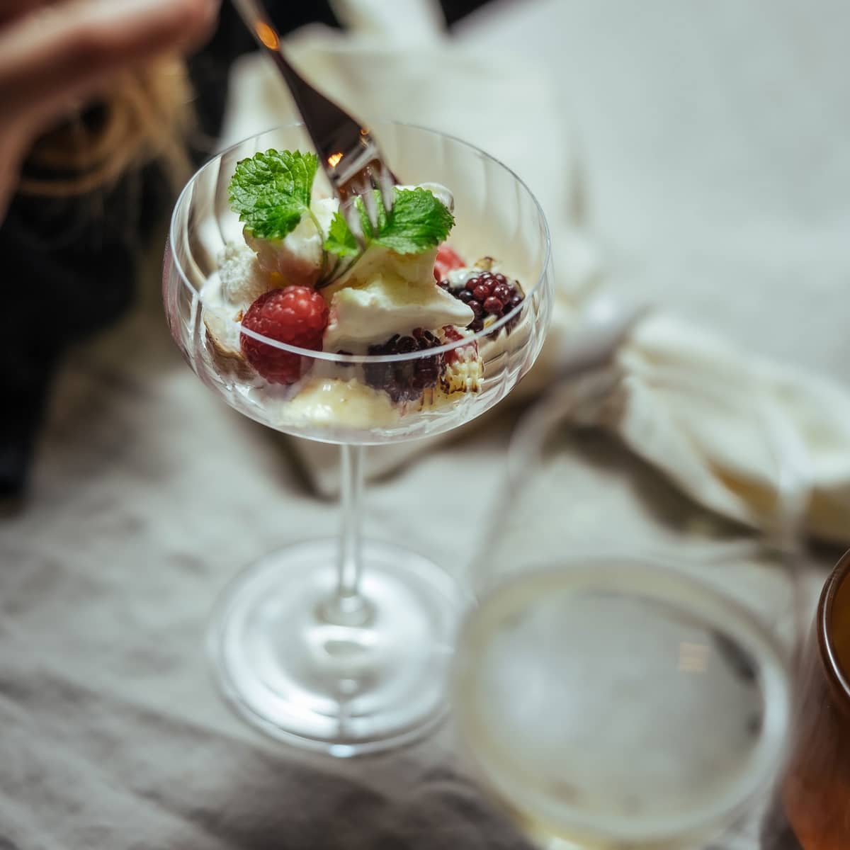 LifeStyle coupe champagneglas 4 stk.