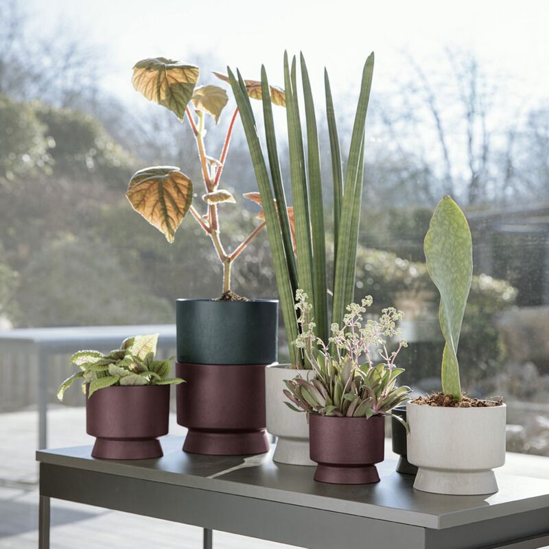 blomkruka sand 19 cm.