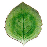 Riviera Hortensia Tarjoiluvati 22 cm