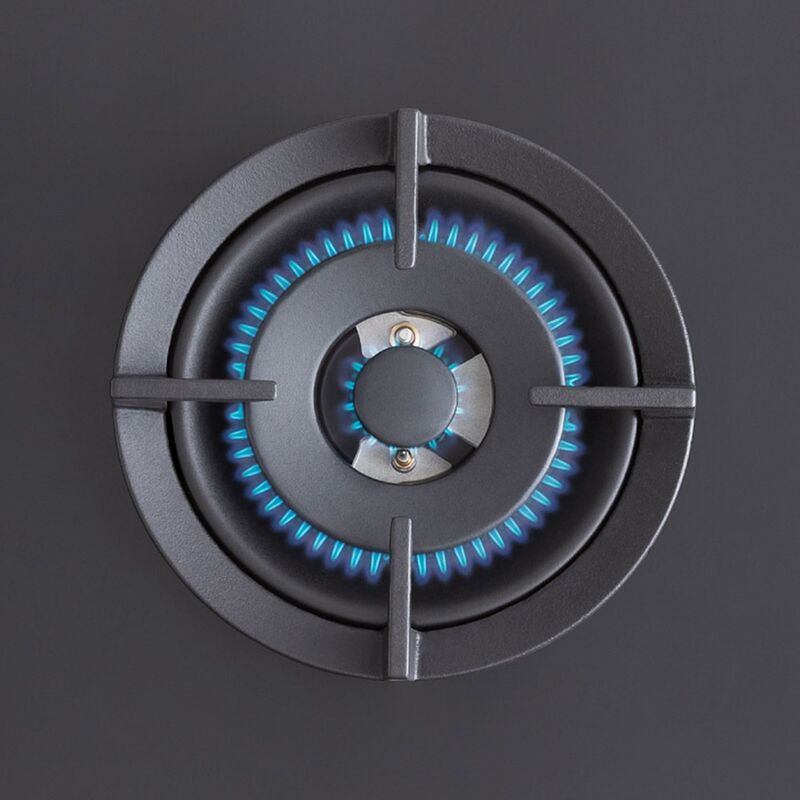 Professional P905CPROGNE gaskogeplade 90 cm, sort