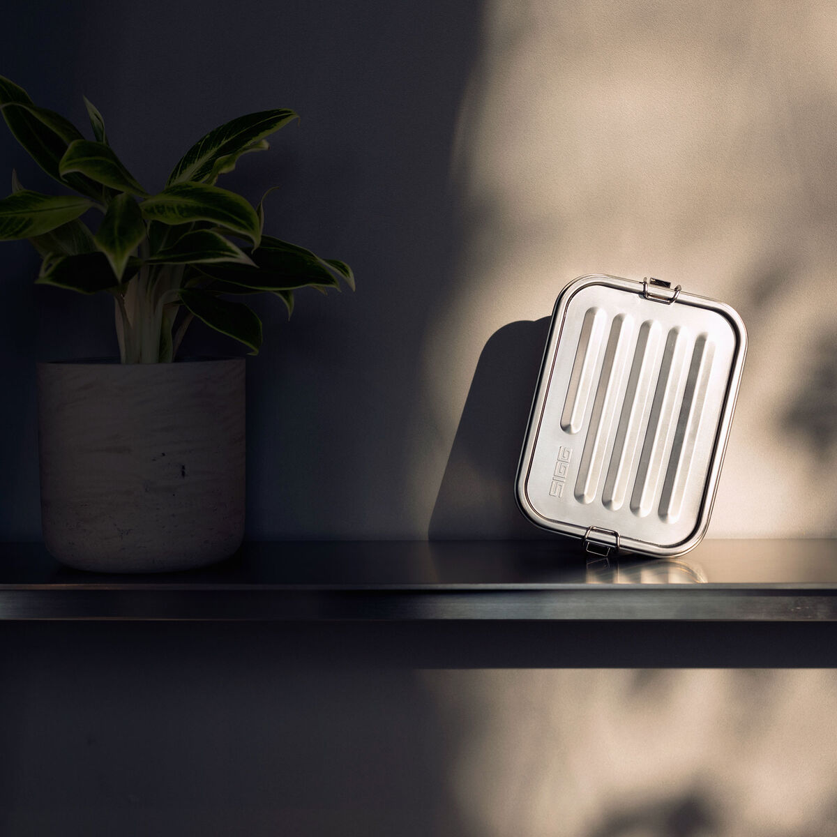 SIGG Gemstone matboks 1,1 liter, selenite