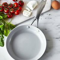 Venice Pro paistinpannu 20 cm