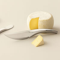 Ost- og fruktkniv