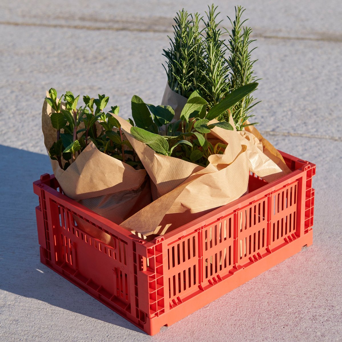Colour Crate oppbevaringsboks medium, red