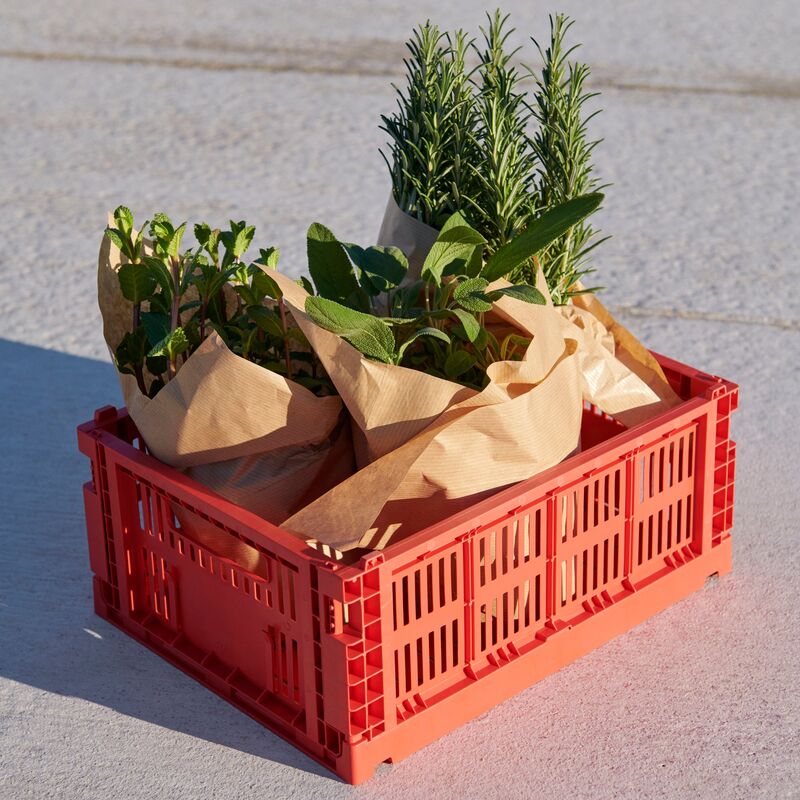 förvaringslåda medium, red