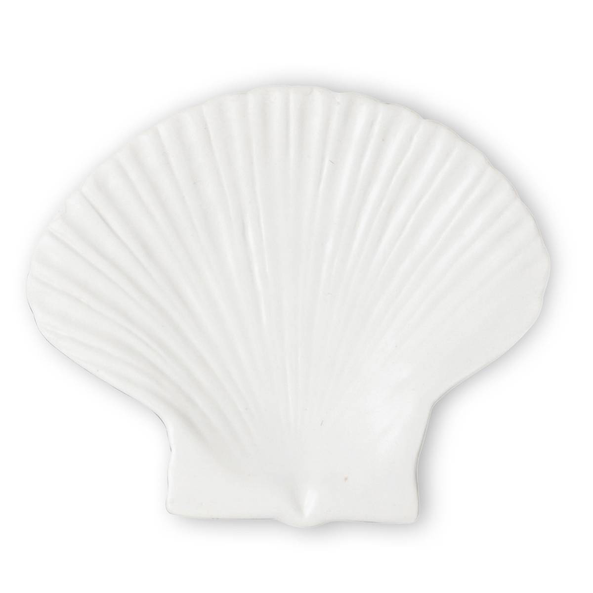 Shell asetti small