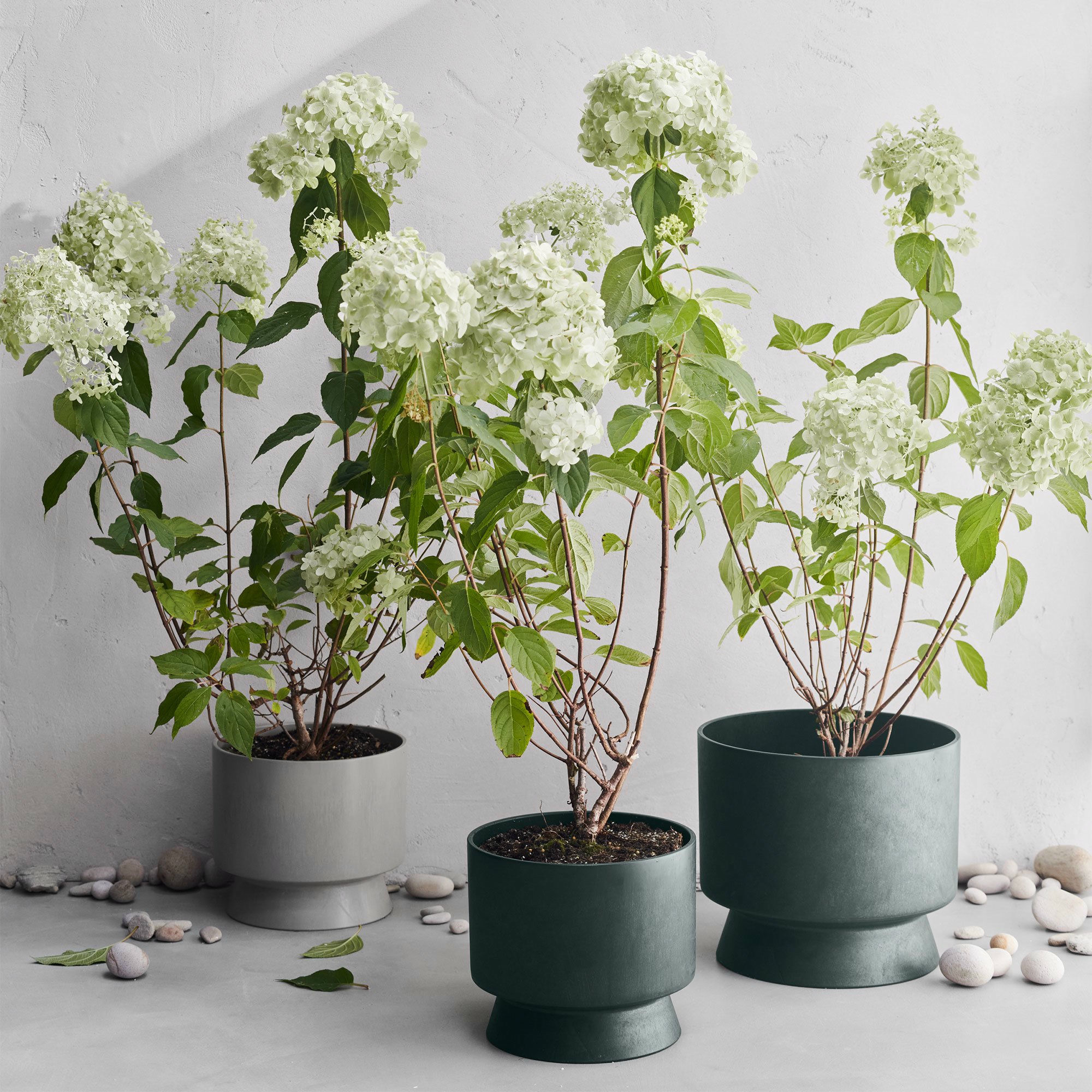 Alternativ bild 1 för Rosendahl RO blomkruka 30 cm, grön