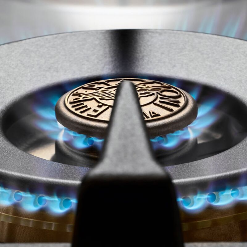 PRO64L1EXT Professional gasspis med singelugn, 60 cm, rostfritt stål