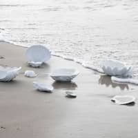 Shell assiett medium