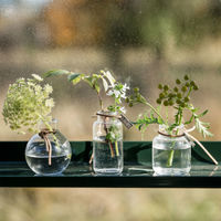 Glasvas 8 cm 3-pack, klar