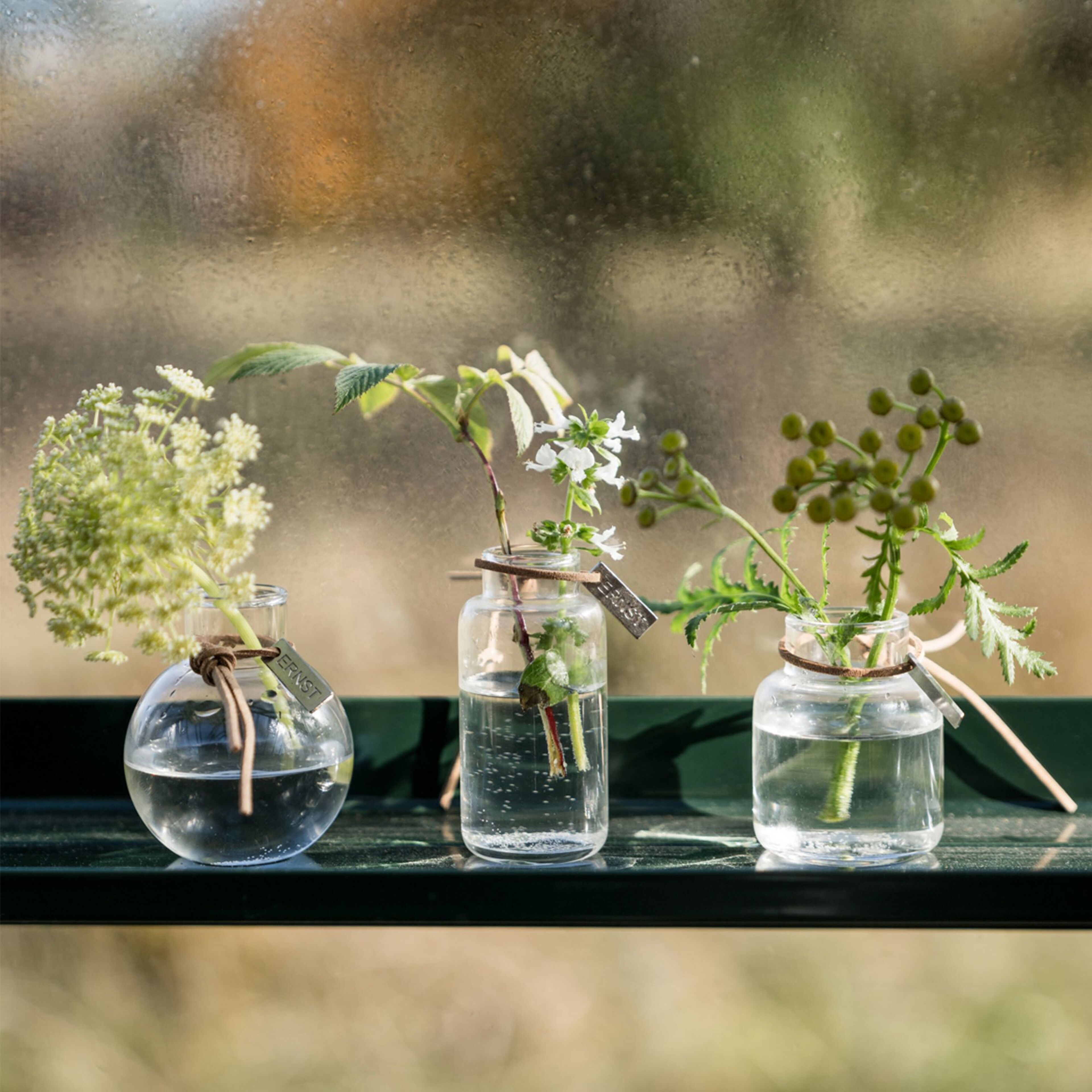 ernst-364414-67247-2