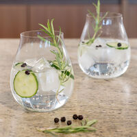 Gin & Tonic sett, 4-pack