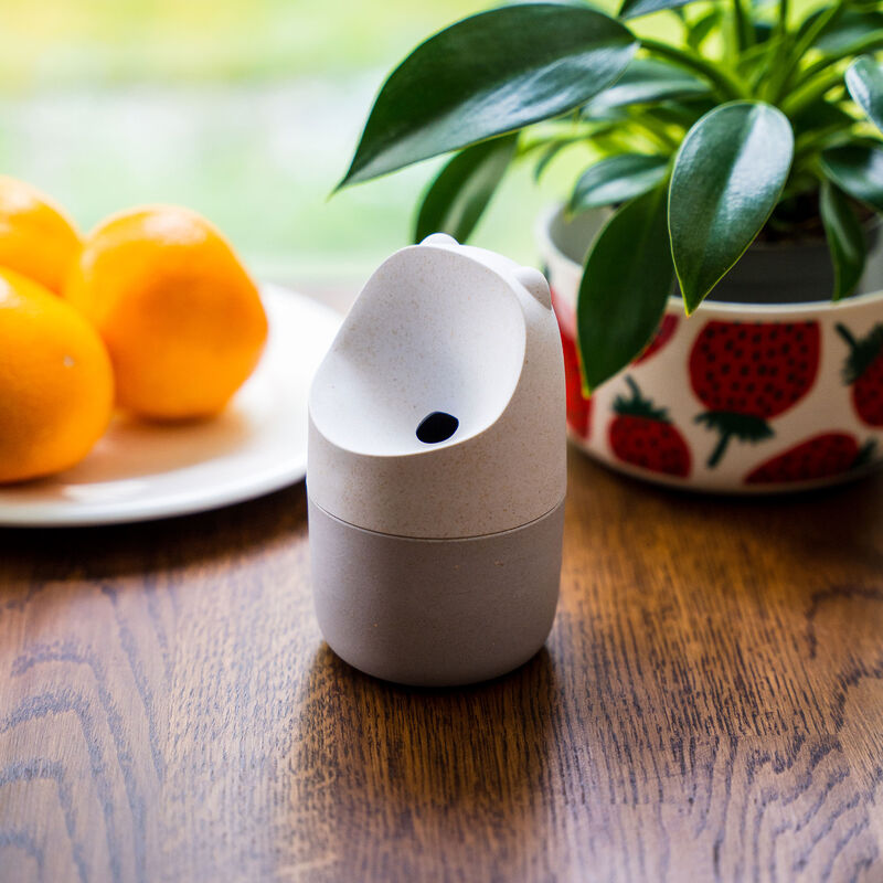 Konna kärpäsloukku, natural white