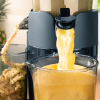 Gastroback Vita Fresh Slow Juicer