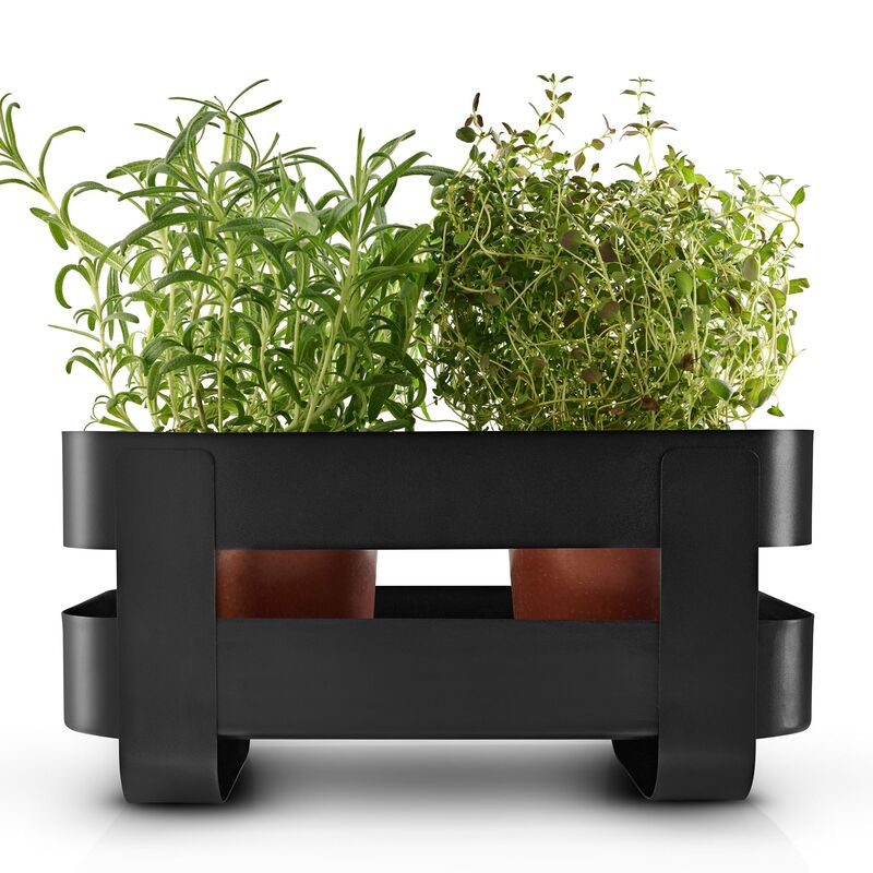 Selvvandende Herb Organiser stål, sort