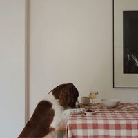Bertel bordduk 180x145 cm, brun/aprikot