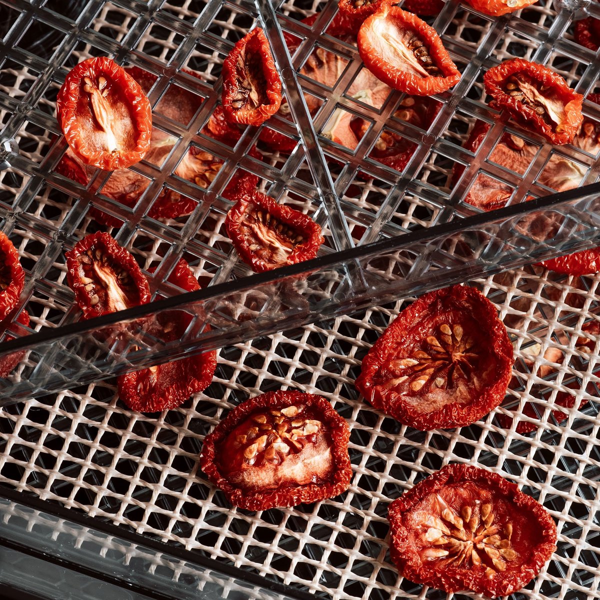 Dehydrator-kuivuri, 5 tasoa