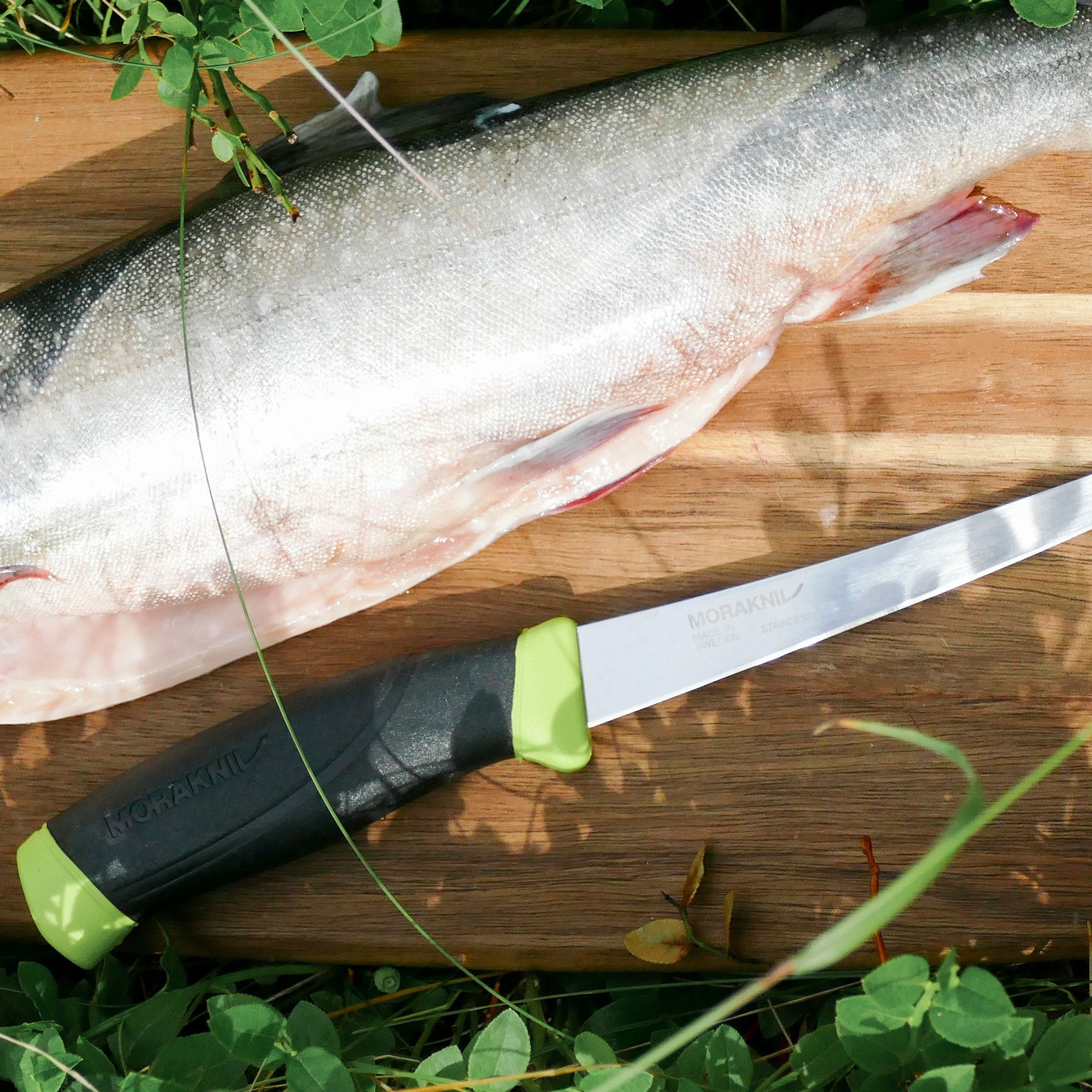 Alternativ bild 1 för Morakniv Companion Fishing Fillet 155 (S)
