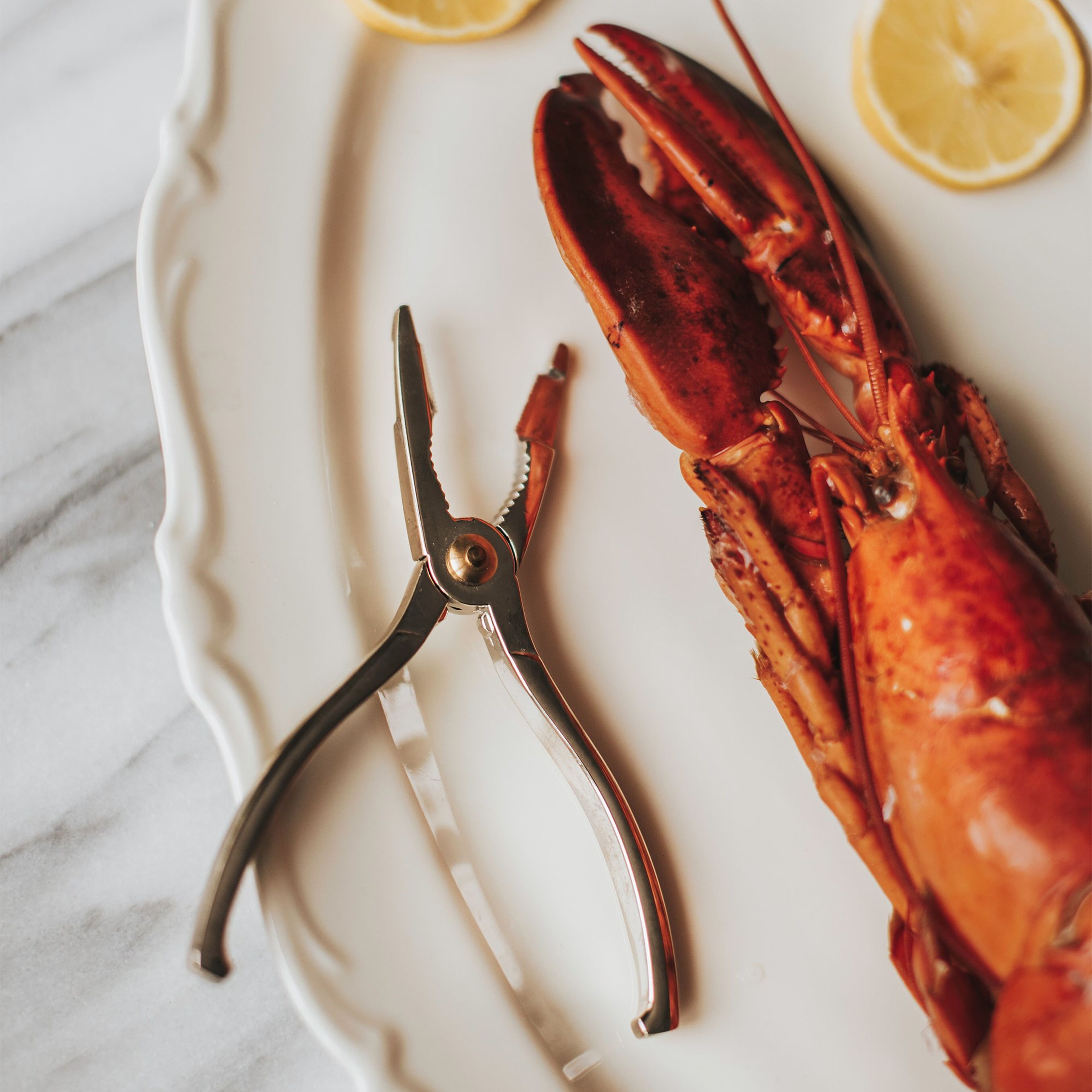 dorre-skai-skaldyrstang-hummertang-15-cm-5-8912-60967-2