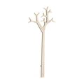 White oak