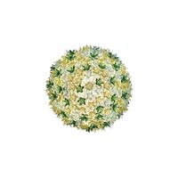 Bloom Ceiling Light C1 Mint