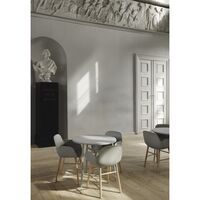 Form Dining Chair with Armrests Gray/ Oak