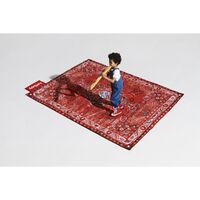 Picnic Outdoor Rug Red