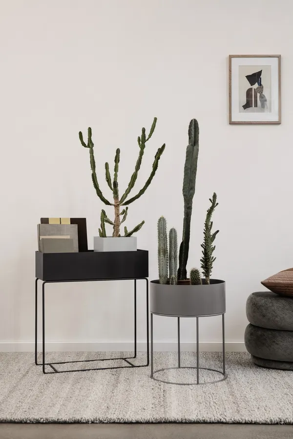 Plant Box Sort
