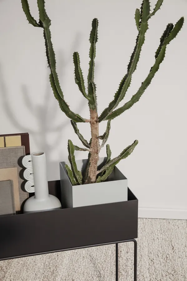 Plant Box Sort