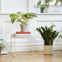 Tray Side Table Medium Warm Gray