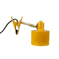 Ocean Clip Lamp Curry