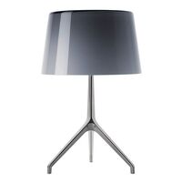 Grå / Aluminium