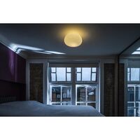 Rituals 2 Ceiling Light