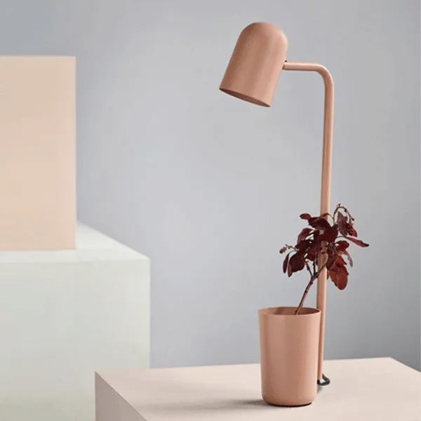 Buddy Mørkegrå Bordlampe