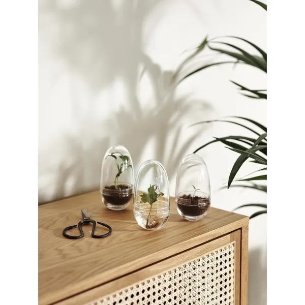Grow Vase Medium Trasparente