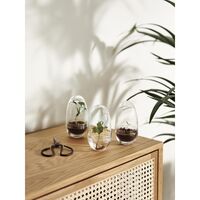 Grow Vase Medium Trasparente