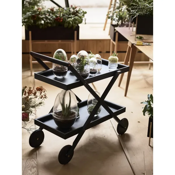 Grow Vase Medium Trasparente