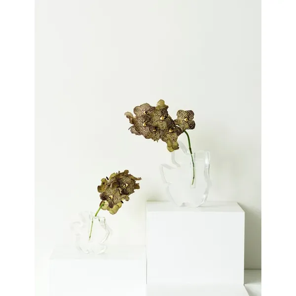 Draw Vase Small Transparent