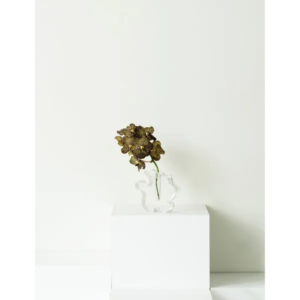Draw Vase Small Transparent