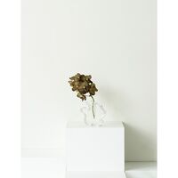 Draw Vase Small Transparent