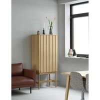 Rib Cabinet High Eiken