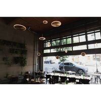 Chrona Dish 17 Horizontal Pendant Brass