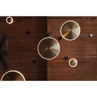 Chrona Dish 6 Vertical Pendant Brass